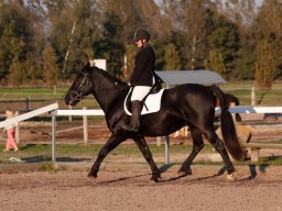 IMG_7695_web